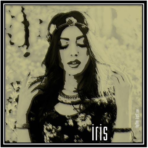 Iris - Rhythm Tryst