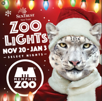 Alice Hasen at Zoo Lights