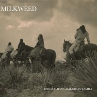 Dream Of An American Family by Milkweed