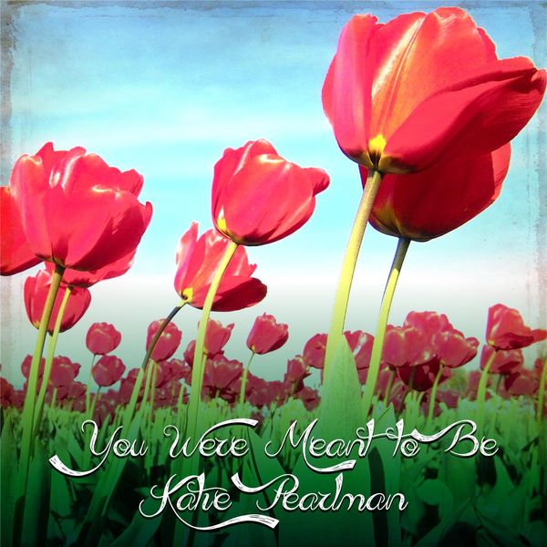 You Were Meant to Be - Now on iTunes and CDBaby