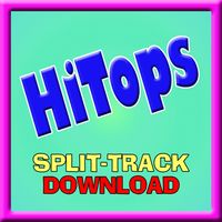 HITOPS  - SPLIT-TRACK - Download Only by Ernie Rettino & Debby Kerner Rettino