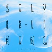 Silver Lining by J.C. Carter