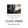 11/11 Class Video, Donnybrook Fair Jig