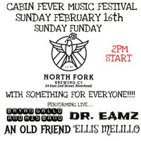 Bryan Gallo + his Band live at Cabin Fever Music Fest (North Fork Brewing Co.)
