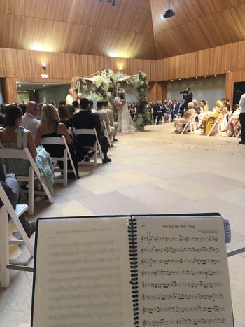 Chicago Botanical Gardens Wedding String Trio
