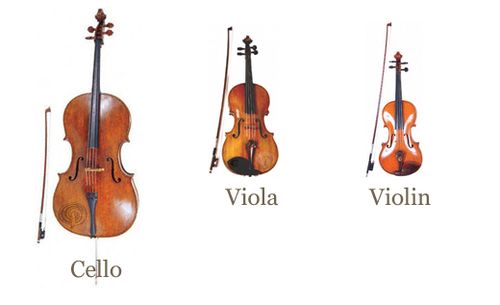 cello viola violin instruments