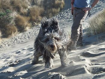 sand is such fun
