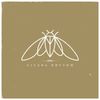 Cicada Rhythm : Vinyl