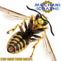 Stay Away from Wasps by MechaniCrash