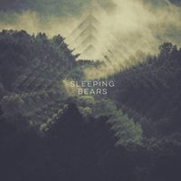 Sleeping Bears by Sleeping Bears