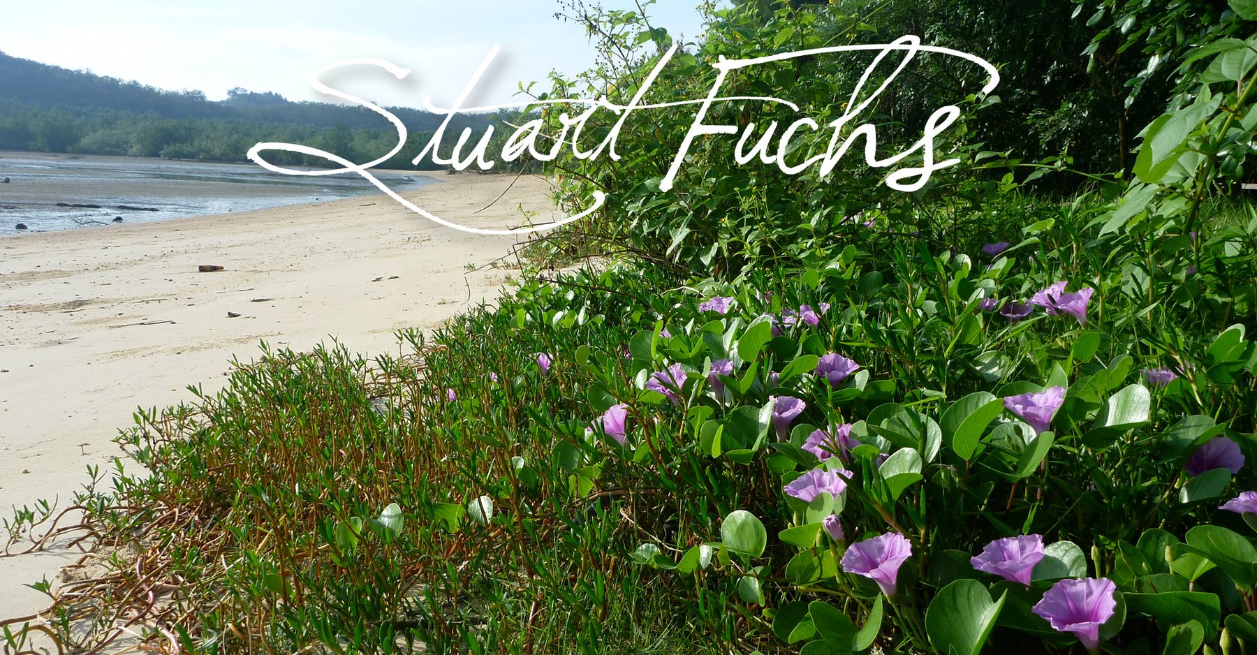Stuart Fuchs Ukulele Lessons, E-Books, Workshops, Concerts, School Assemblies ...