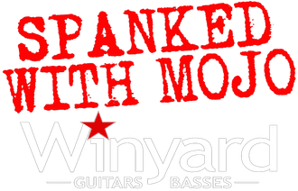 Jamie Porter Band Winyard Guitars
