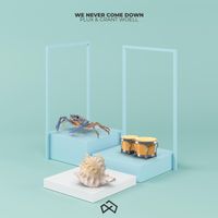 We Never Come Down by Grant Woell