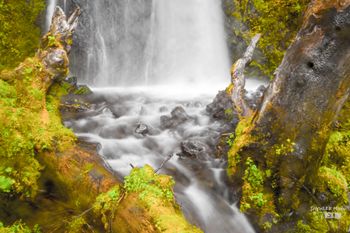 WAHKEENA FALLS, OR
