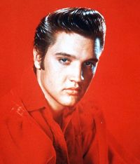 In Tribute to Elvis Presley