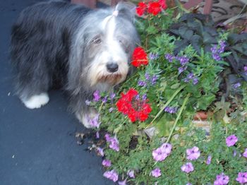 Jilly
