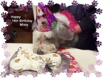 Happy Birthday Misy
