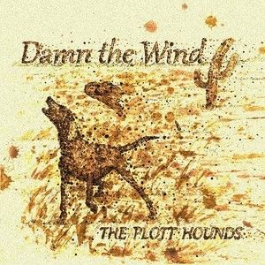 Damn The Wind : CD - Damn The Wind