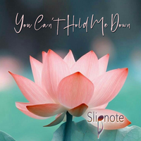 YOU CAN'T HOLD ME DOWN by ONE STOP - SLIPNOTE