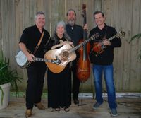 The Driftwoods with Scott Anderson