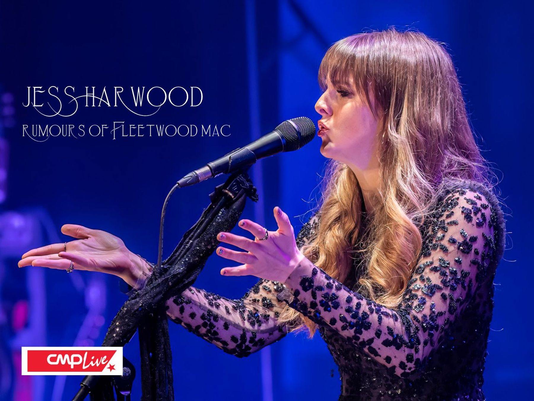 Fleetwood Mac Rumours Of Fleetwood Mac The Fleetwood Mac Tribute