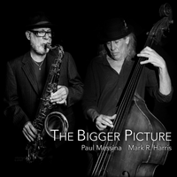 The Bigger Picture by Paul Messina & Mark R. Harris 