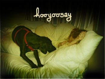 hooyoosay - Who's been sleeping here
