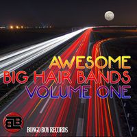Awesome Big Hair Bands - Volume 1 by various artists
