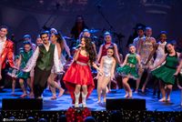 VIP TICKET - A Very Merry Christmas Holiday Spectacular