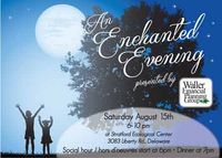 Enchanted Evening Under the Stars
