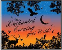 Enchanted Evening