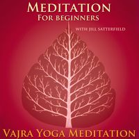 Meditation for Beginners by Vajra Yoga Meditation 