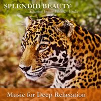 Splendid Beauty: Classical Indian Flute & Violin by Music for Deep Relaxation
