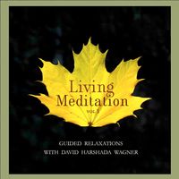Living Meditation, Vol. 3: Guided Relaxations with David Harshada Wagner  by Music for Deep Meditation