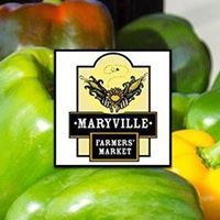 Andy Sneed Live at Maryville Farmers Market