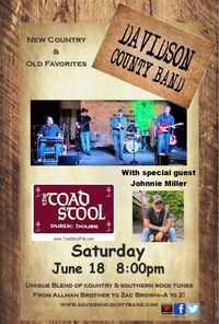 Davidson County Band - Toadstool Pub
