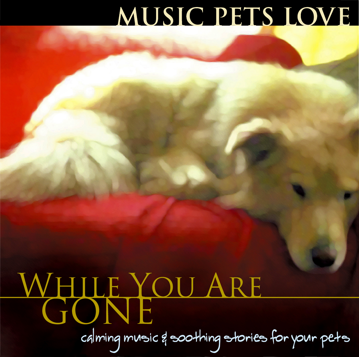 do dogs like soothing music