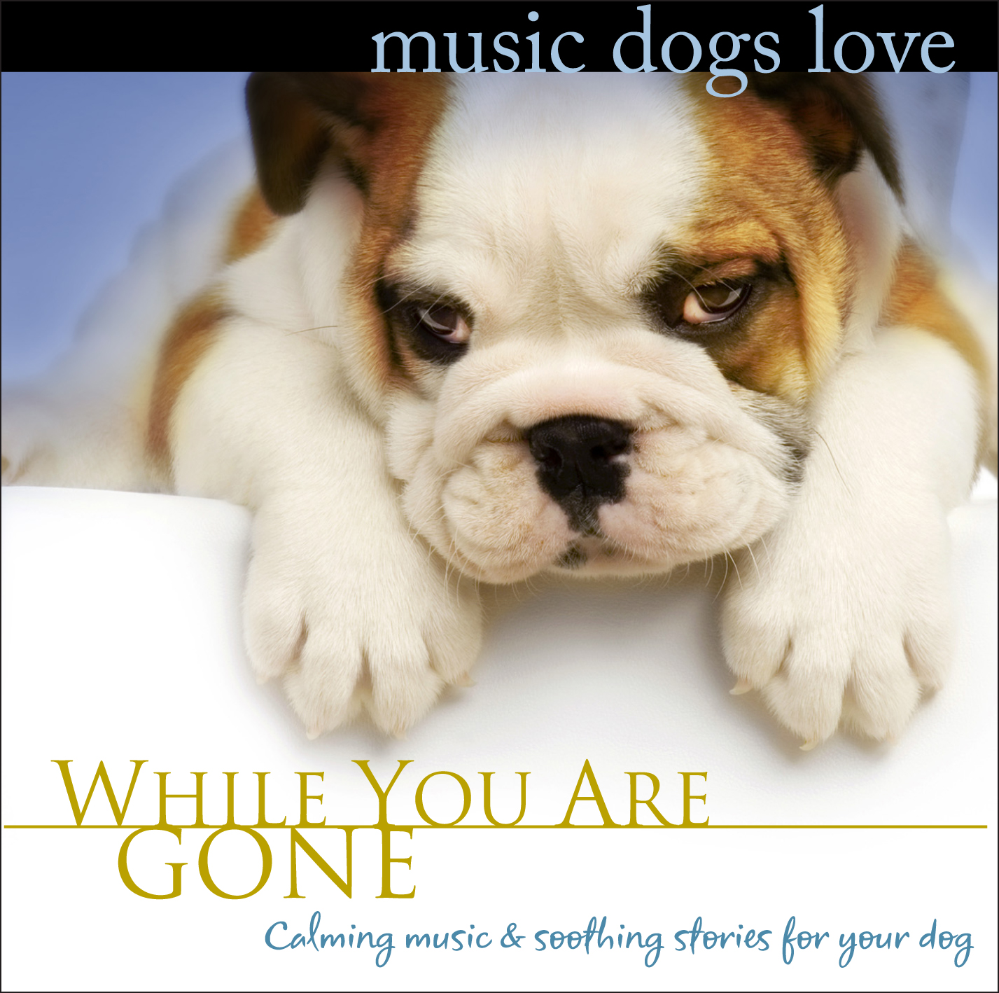 do dogs find music soothing