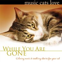 Music Cats Love - While You Are Gone by Bradley Joseph