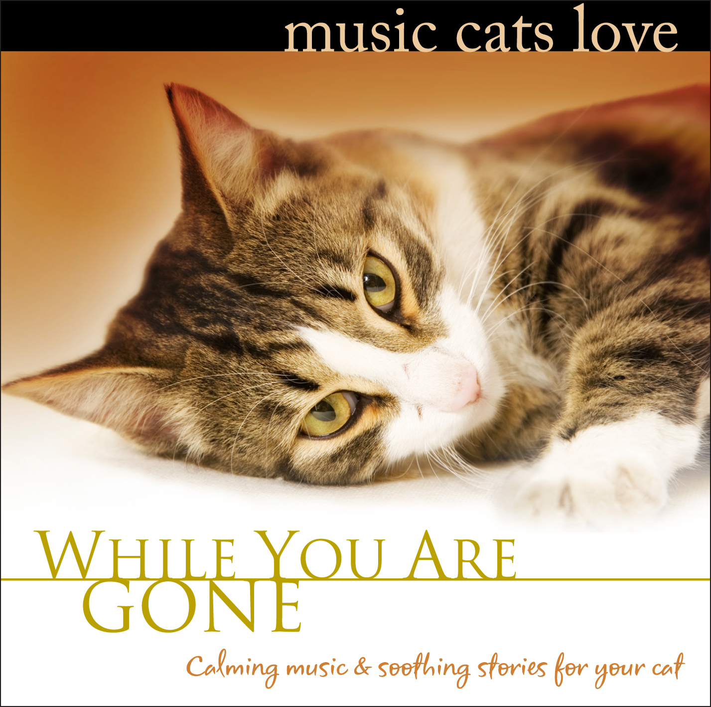 Calming hot sale music cats