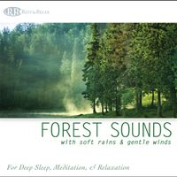 Forest Sounds: With Soft Rains & Gentle Winds by Rest & Relax Nature Artist Series