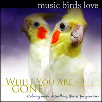 Music Birds Love - While You Are Gone by Bradley Joseph