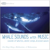  Whale Sounds with Music