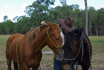 Freda, Amber & Anita - 2012
