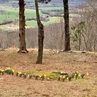 Resurrection Ground by Charlotte Ryerson