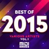 Best Of 2015 - Various Artists - Vol 1 MIDI FILE ALBUM