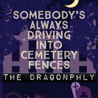 Somebodys Always Driving Into Cemetery Fences by Tim Korry