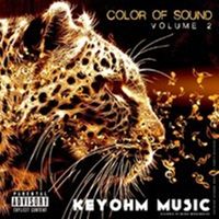Color Of Sound Volume 2 by Keyohm 