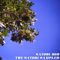 The Satori Sampler by Satori Bob