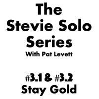 Stay Gold - Transcriptions and backing track by Pat Levett - Chromatic Harmonica - Stevie Solo Series